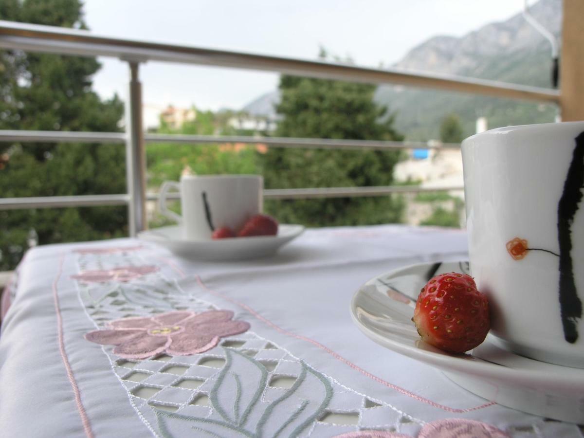 Musa apartment Gradac  Bagian luar foto